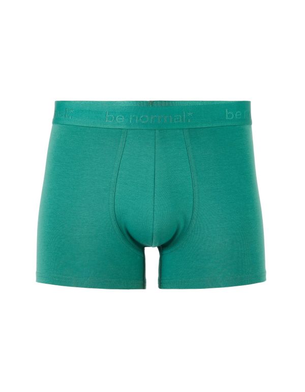 Caleçons boxer uni - vert