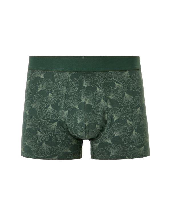 Boxer à motifs feuilles de ginkgo - vert