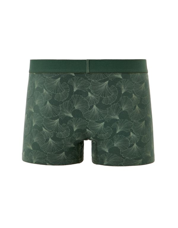 Boxer à motifs feuilles de ginkgo - vert