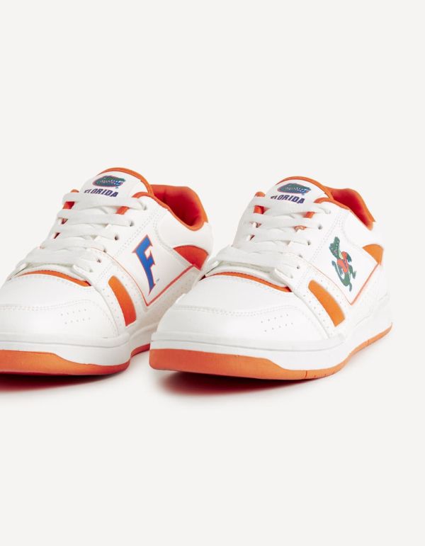 Baskets University of Florida