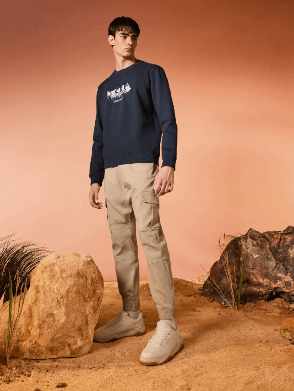 Dragon Ball - Sweat en coton