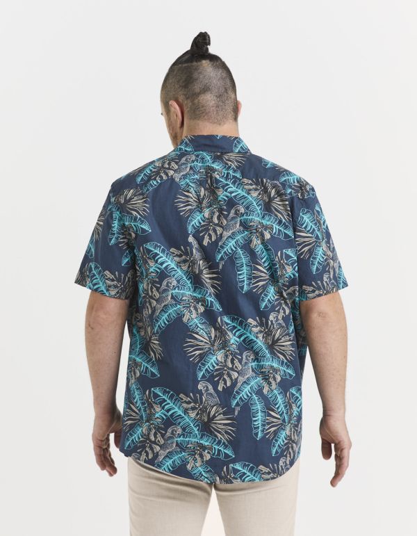 Chemise regular 100% coton