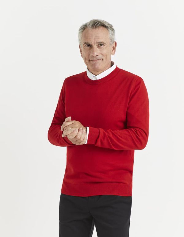 Pull col rond 100% laine mérinos extra fin