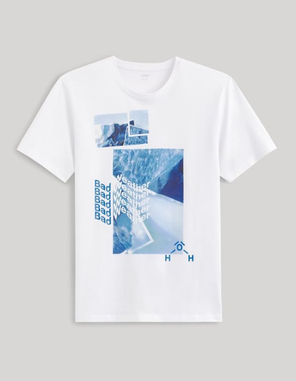 T-shirt col rond 100% coton