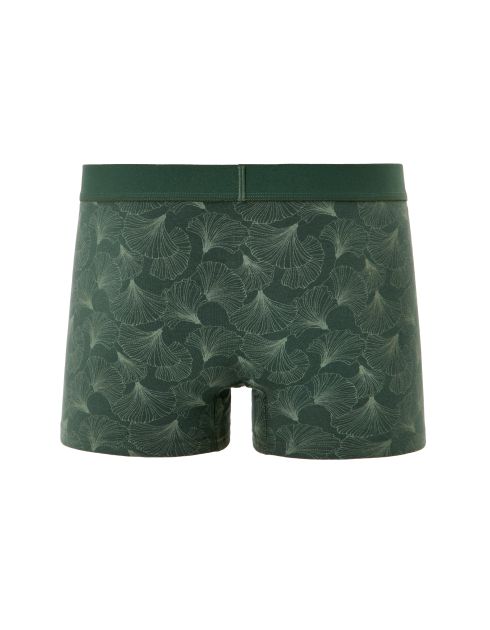 Boxer à motifs feuilles de ginkgo - vert